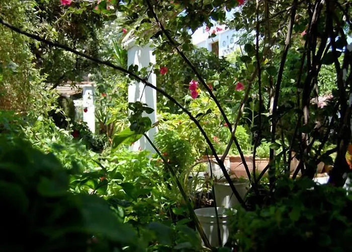 Pinelopi Apartmanhotel 3*