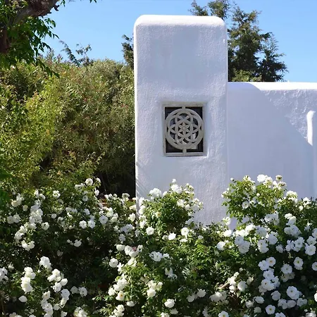 Pinelopi Lägenhetshotell Mykonos Town